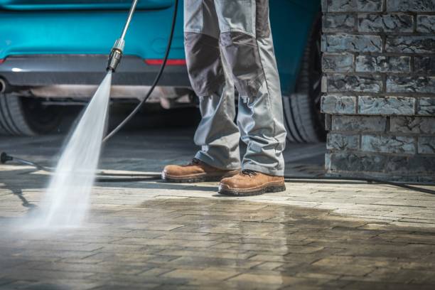 Best Animal Enclosure Cleaning  in Tripoli, IA