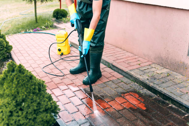 Best Building Exterior Washing  in Tripoli, IA