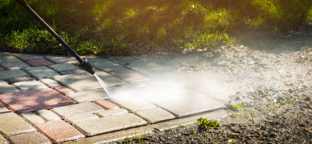 Animal Enclosure Cleaning in Tripoli, IA