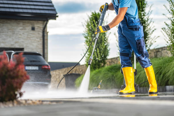 Best Gutter Cleaning  in Tripoli, IA
